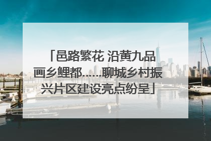 邑路繁花 沿黄九品 画乡鲤都……聊城乡村振兴片区建设亮点纷呈