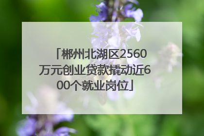 郴州北湖区2560万元创业贷款撬动近600个就业岗位