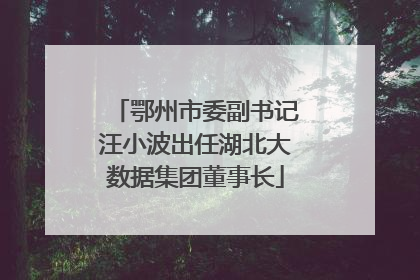 鄂州市委副书记汪小波出任湖北大数据集团董事长