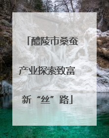 醴陵市桑蚕产业探索致富新“丝”路