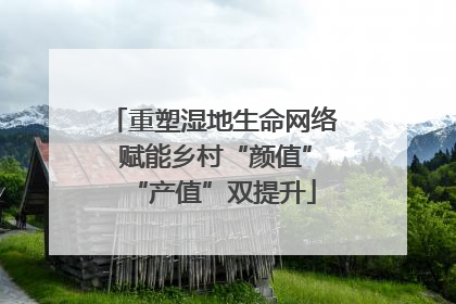 重塑湿地生命网络 赋能乡村“颜值”“产值”双提升