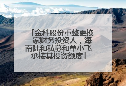 金科股份重整更换一家财务投资人，海南陆和私募和单小飞承接其投资额度