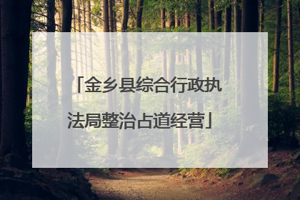 金乡县综合行政执法局整治占道经营