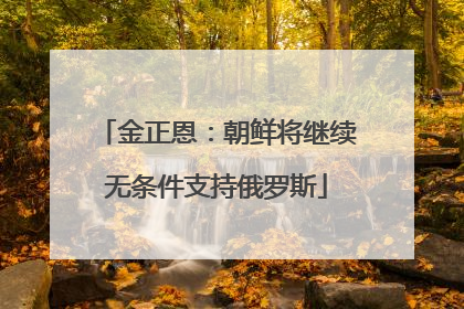 金正恩：朝鲜将继续无条件支持俄罗斯