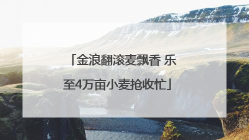 金浪翻滚麦飘香 乐至4万亩小麦抢收忙