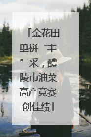 金花田里拼“丰”采，醴陵市油菜高产竞赛创佳绩