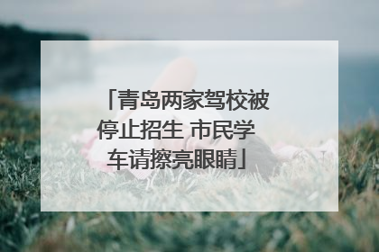 青岛两家驾校被停止招生 市民学车请擦亮眼睛