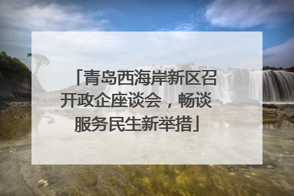 青岛西海岸新区召开政企座谈会，畅谈服务民生新举措