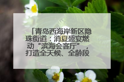 青岛西海岸新区隐珠街道：消夏盛宴燃动“滨海会客厅”，打造全天候、全龄段消费生态圈