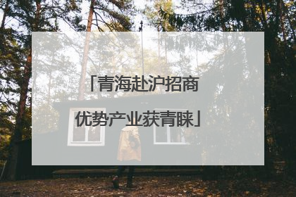 青海赴沪招商 优势产业获青睐