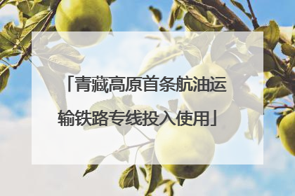 青藏高原首条航油运输铁路专线投入使用