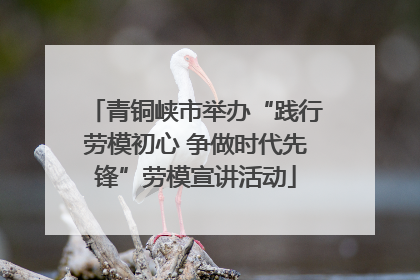 青铜峡市举办“践行劳模初心 争做时代先锋”劳模宣讲活动