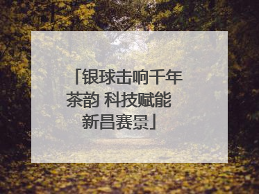 银球击响千年茶韵 科技赋能新昌赛景