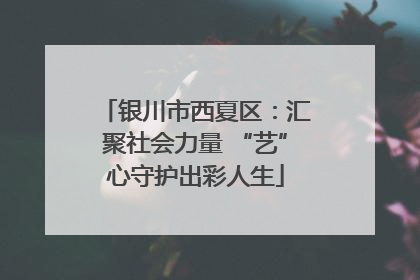 银川市西夏区：汇聚社会力量 “艺”心守护出彩人生