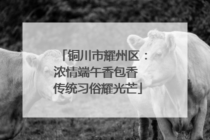 铜川市耀州区：浓情端午香包香 传统习俗耀光芒