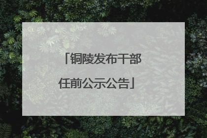 铜陵发布干部任前公示公告