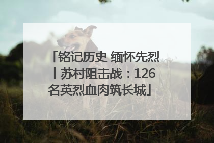 铭记历史 缅怀先烈丨苏村阻击战：126名英烈血肉筑长城