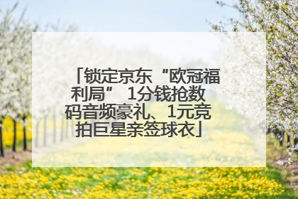 锁定京东“欧冠福利局” 1分钱抢数码音频豪礼、1元竞拍巨星亲签球衣