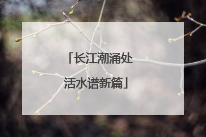 长江潮涌处 活水谱新篇