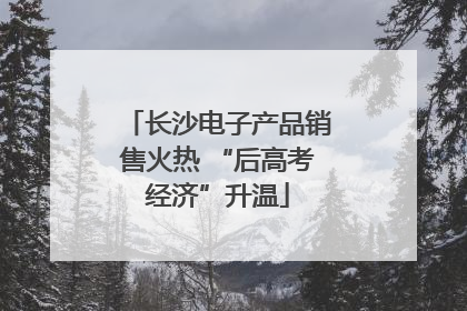 长沙电子产品销售火热 “后高考经济”升温