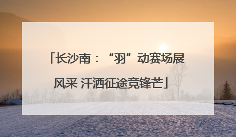 长沙南：“羽”动赛场展风采 汗洒征途竞锋芒