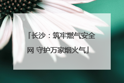 长沙：筑牢燃气安全网 守护万家烟火气