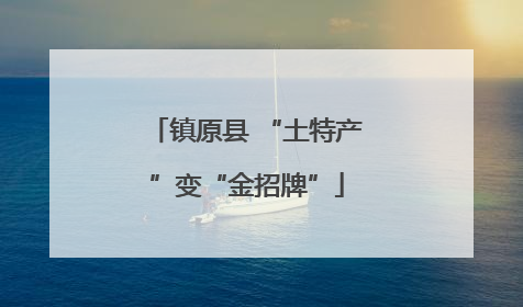 镇原县 “土特产”变“金招牌”