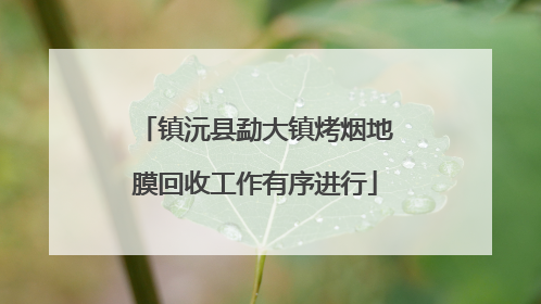 镇沅县勐大镇烤烟地膜回收工作有序进行