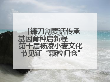镰刀割麦话传承 基因育种启新程——第十届杨凌小麦文化节见证“颗粒归仓”时空跨越