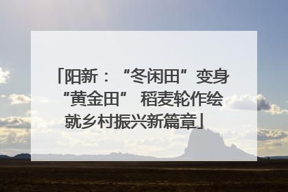 阳新：“冬闲田”变身“黄金田” 稻麦轮作绘就乡村振兴新篇章