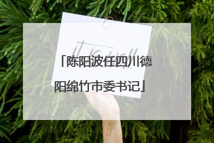 陈阳波任四川德阳绵竹市委书记