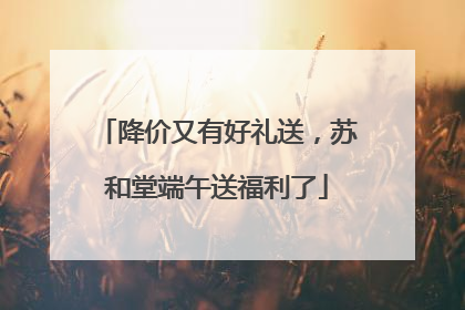 降价又有好礼送，苏和堂端午送福利了