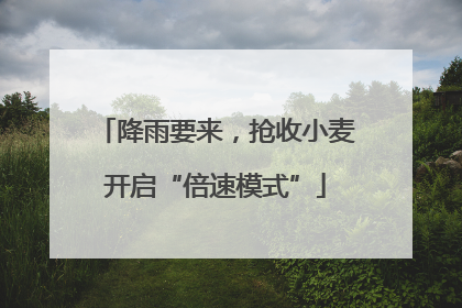 降雨要来，抢收小麦开启“倍速模式”