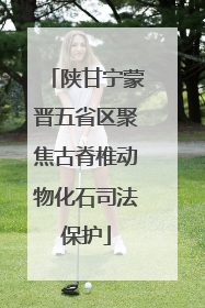 陕甘宁蒙晋五省区聚焦古脊椎动物化石司法保护