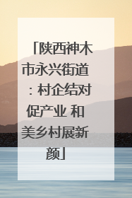 陕西神木市永兴街道：村企结对促产业 和美乡村展新颜