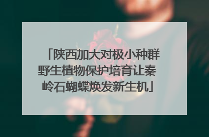 陕西加大对极小种群野生植物保护培育让秦岭石蝴蝶焕发新生机