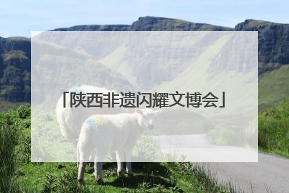 陕西非遗闪耀文博会