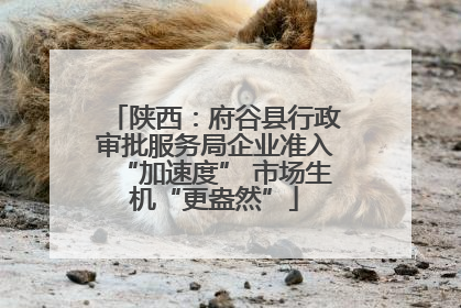 陕西：府谷县行政审批服务局企业准入“加速度” 市场生机“更盎然”