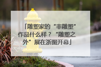 雕塑家的“非雕塑”作品什么样？“雕塑之外”展在浙图开幕