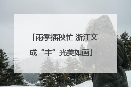 雨季插秧忙 浙江文成“丰”光美如画