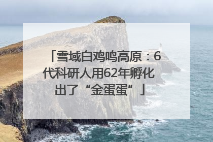 雪域白鸡鸣高原：6代科研人用62年孵化出了“金蛋蛋”