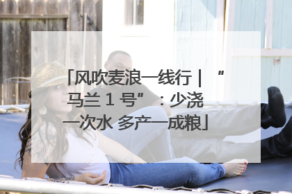 风吹麦浪一线行｜“马兰 1 号”：少浇一次水 多产一成粮