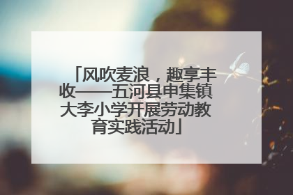 风吹麦浪，趣享丰收——五河县申集镇大李小学开展劳动教育实践活动