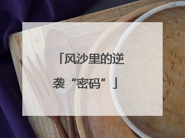 风沙里的逆袭“密码”