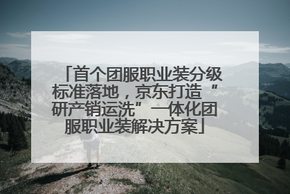 首个团服职业装分级标准落地，京东打造“研产销运洗”一体化团服职业装解决方案
