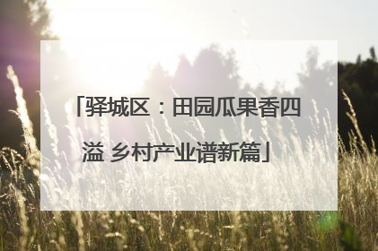 驿城区：田园瓜果香四溢 乡村产业谱新篇