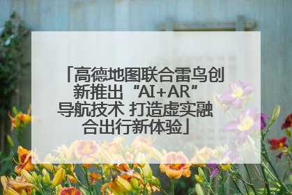 高德地图联合雷鸟创新推出“AI+AR”导航技术 打造虚实融合出行新体验
