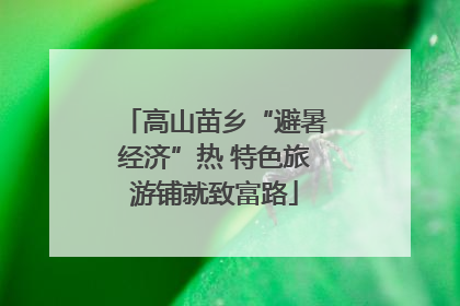 高山苗乡“避暑经济”热 特色旅游铺就致富路