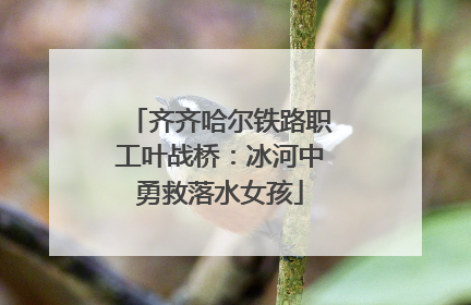 齐齐哈尔铁路职工叶战桥：冰河中勇救落水女孩