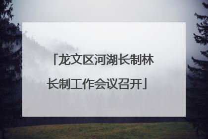 龙文区河湖长制林长制工作会议召开